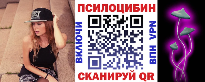 Купить закладки  Богородицк  Галлюциногенные грибы Magic Shrooms 